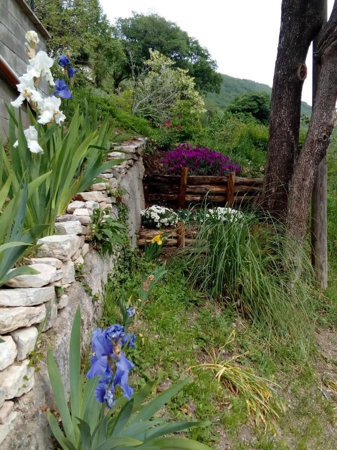 Bed & Breakfast Sentiero 54 Cantiano Exteriér fotografie